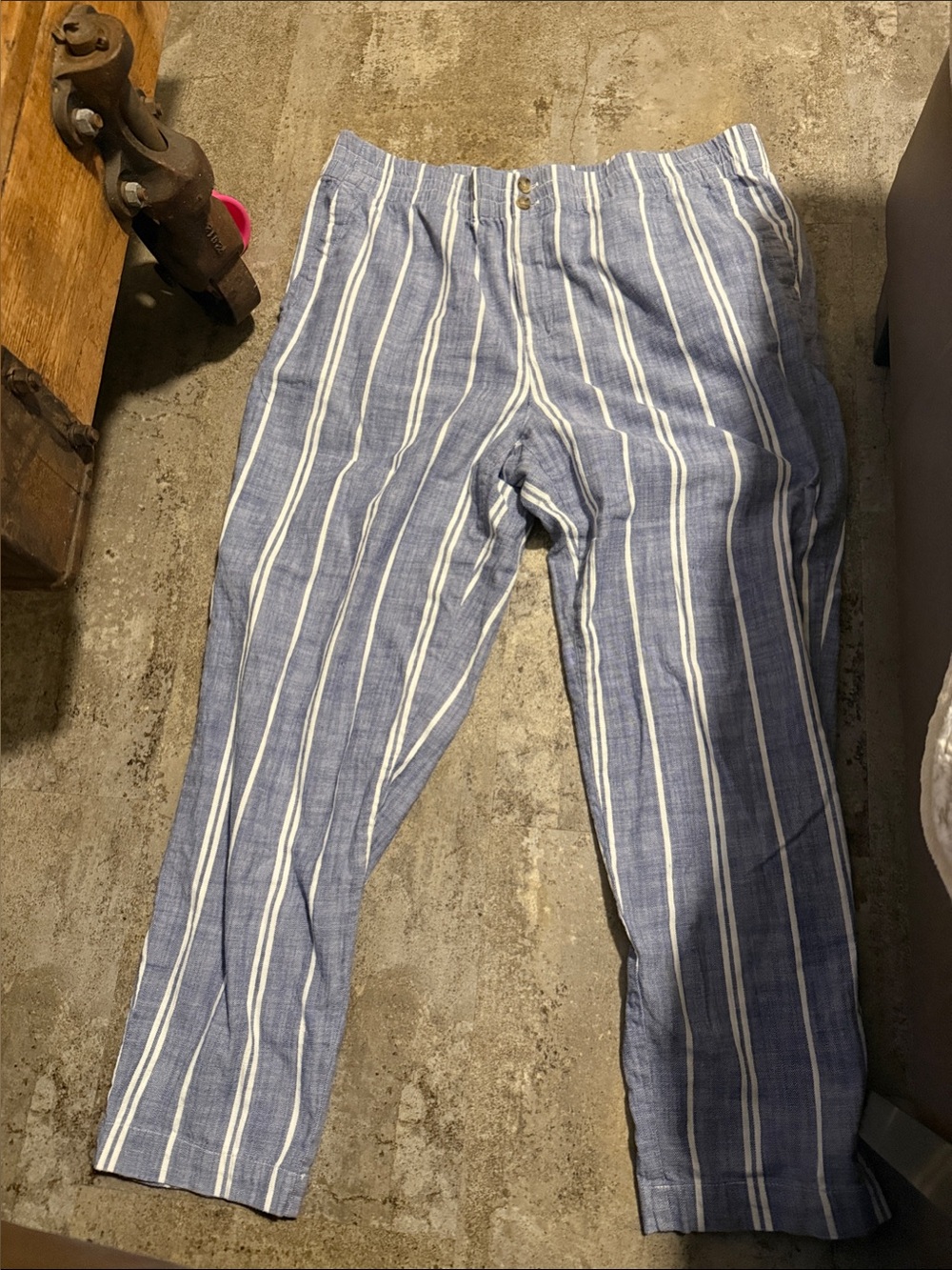 Marine Layer Blue & White Striped Women's Chinos